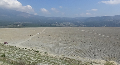 Kazdağları'nda 300 Dönümlük Eski Maden Sahası Lavanta Bahçesi Olacak