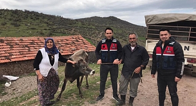 Kurbanlık Hayvanı Çalanları JASAT Yakaladı