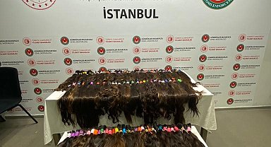 Sabiha Gökçen'de valiz içerisinde kilolarca insan saçı ele geçirildi