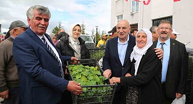 Çiftçilere Ücretsiz Fide Desteği
