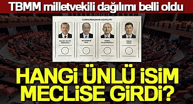 Milletvekilliği genel seçimlerinde meclise giren ünlü isimler