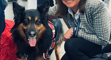 Türkiye'de deprem çalışmalarına katılan arama-kurtarma köpeği Aaron hayatını kaybetti