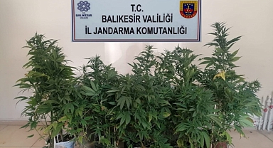 Bigadiç'te Kenevir Baskını
