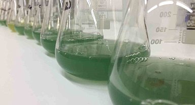 BTÜ'lü araştırmacılar o hastalığa çare oluyor