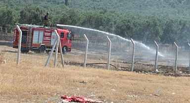 Burhaniye’de Otluk Alanda Yangın