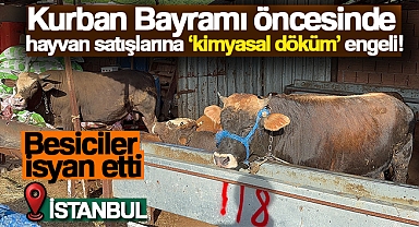 Kurban Bayramı öncesinde hayvan satışlarına