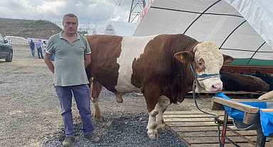 Sultangazi kurban pazarının en büyüğü