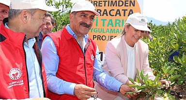 2023 yılı narenciye ihracatında hedef 1 milyar doları aşmak