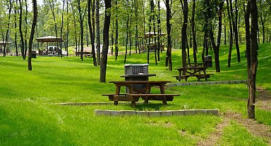 700 yıllık Osmanlı Köyü'ne devasa Orman Parkı