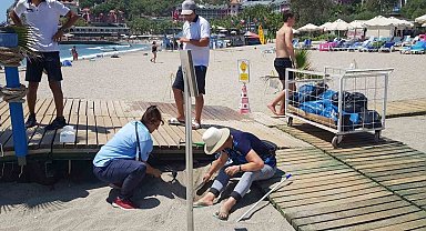 Alanya'da yuvadan çıkamayan caretta carettalar için seferberlik