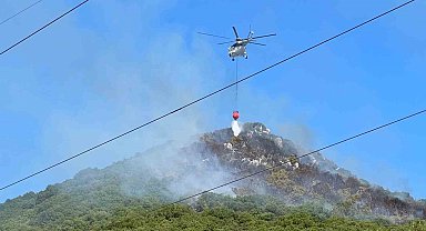 Antalya'nın Demre ilçesindeki orman yangınına havadan ve karadan müdahale ediliyor