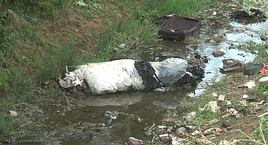 Arnavutköy'de haşere yuvasına dönen dere mahalleliyi isyan ettirdi