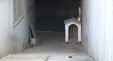 Ataşehir'de köpeğin saldırdığı kadın ağır yaralandı