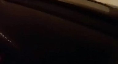 Ayı otomobilin önüne atladı, içindekilerin yüreği ağzına geldi