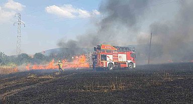 Balıkesir'de 75 dönüm buğday tarlası yandı