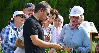 Balıkesir'de bahçıvanlık kursuna kadınlardan yoğun ilgi
