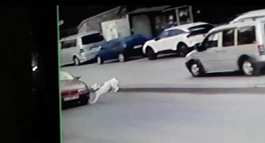 Başkentte köpeğe çarpıp kaçan sürücü güvenlik kameralarına yakalandı