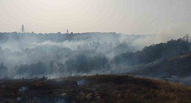 Beykoz'da çıkan orman yangını havadan görüntülendi