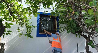 Bodrum sokakları mavi ve beyaza bürünüyor