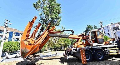 Buca Metrosunda istasyon inşaatları öncesinde ağaçlar geçici olarak taşınıyor