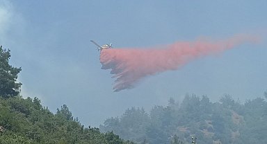 Çanakkale'de 3 gündür devam eden orman yangınına müdahale sürüyor