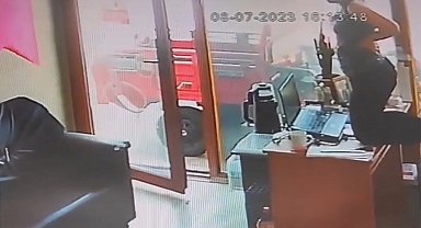 Çanakkale'de yılan iş yerine girdi, çalışan korkuyla masa üstüne çıktı