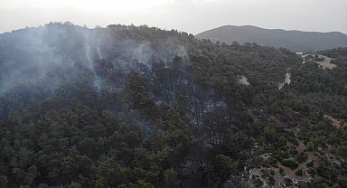 Çanakkale'deki orman yangını 16 saat sonra kontrol altına alındı