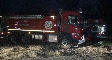 Çanakkale'deki orman yangınına gece de havadan ve karadan müdahale ediliyor