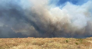 Çanakkale'deki yangında rüzgarın etkisiyle alevler büyümeye başladı