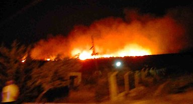 Çeşme'de çamlık alanda yangın