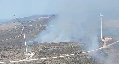 Çeşme'de otluk yangını sürüyor