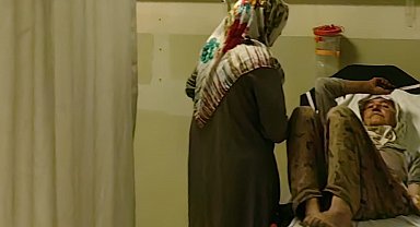 Çilek toplayan kadını yılan ısırdı
