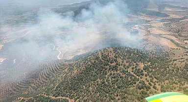 Ekin tarlasında başlayan yangın ormana sıçradı