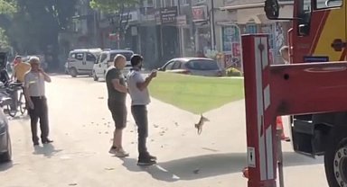 Esnaf ve itfaiyeden kedi operasyonu