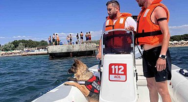 Ezine'de boğulma vakalarına karşı K9 köpeği Leydi ve dalgıçlar iş başında