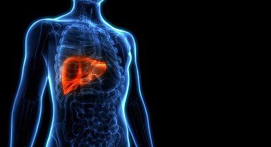 Hepatitin sinsi belirtilerini göz ardı etmeyin
