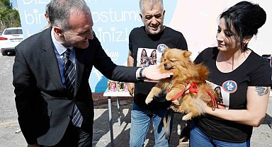 İnegöl Belediyesi 6 ayda 2 bin 700 hayvana şifa oldu