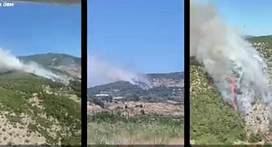 İzmir ve Manisa'da 9 orman yangını söndürüldü