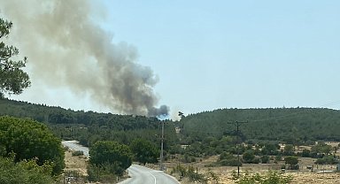 İzmir'de bir orman yangını daha başladı