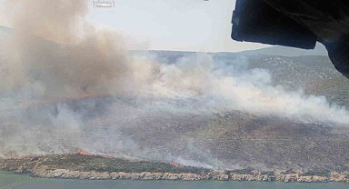 İzmir'de makilik alan yangınında 2 gözaltı