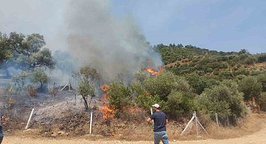İzmir'de orman yangını başladı, havadan müdahale ediliyor