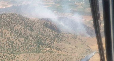 İzmir'de ormana sıçrayan yangın kontrol altında