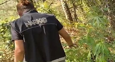 İzmir'de zehir tarlasına polis baskını