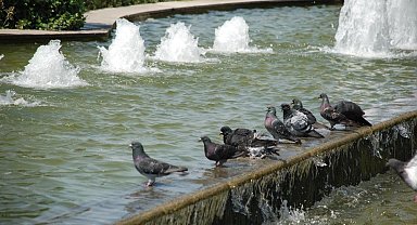 İzmir'e kavurucu sıcaklar geliyor