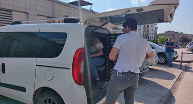 Kiracı ve işyeri sahibi kavgasında 2 kişi tutuklandı, 1 kişi sınır dışı edildi