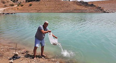 Korkuteli göletlerine 83 bin adet sazan yavrusu bırakıldı