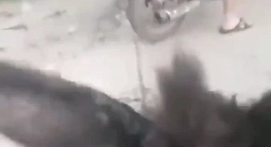 Motosiklete bağladıkları eşeği kilometrelerce koşturdular