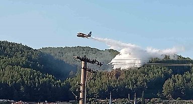 Muğla'daki orman yangını kontrol altına alındı