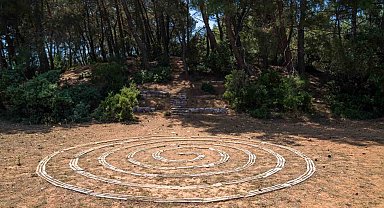 Olivelo Yaşayan Park'ta safari turları yarın başlıyor