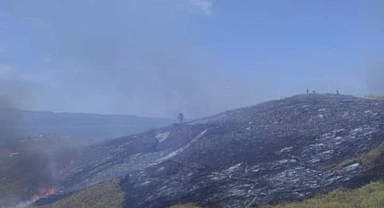Erdek Paşalimanı Adası’nda Yangın Paniği